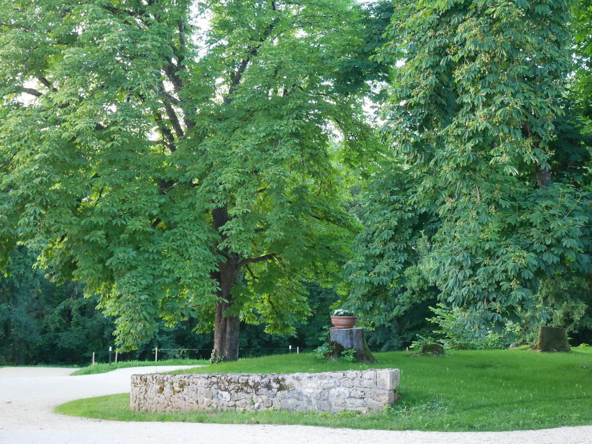 Les Maisons Du Cheylard-Lascaux Les Farges (Sarlat-la-Caneda) Exterior foto